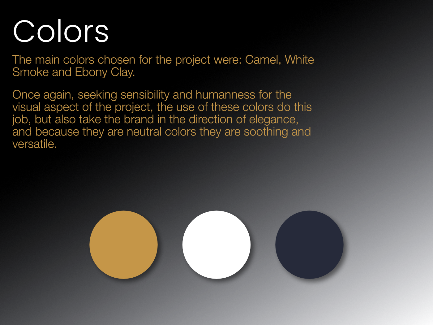 Color Palette